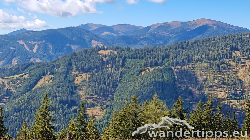 Fensteralpe Abbildung 9