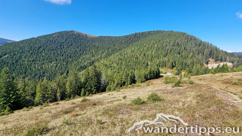 Fensteralpe Abbildung 10