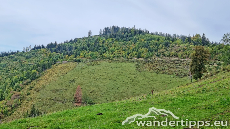 Pleschkogel Abbildung 10