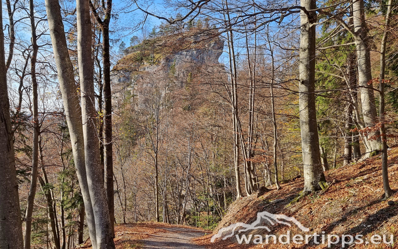 Kloster-Hinteralpe von Westen Abbildung 20