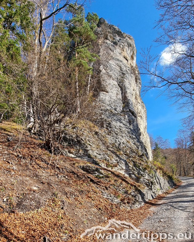 Kloster-Hinteralpe von Westen Abbildung 4