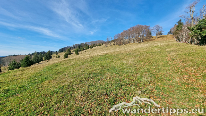 Kloster-Hinteralpe von Westen Abbildung 10