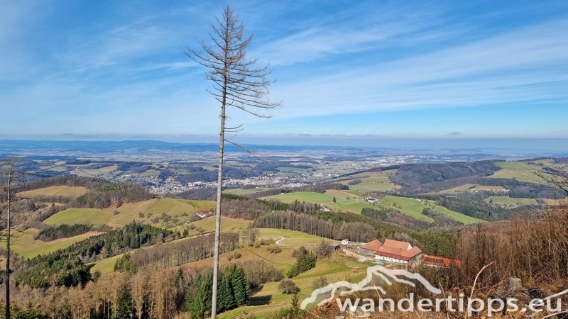 Steinwandleiten/Zehethofer Höhe Abbildung 11