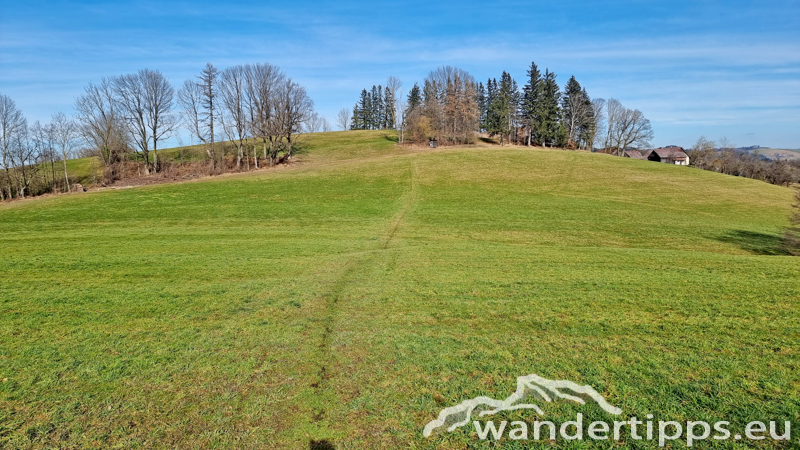 Steinwandleiten/Zehethofer Höhe Abbildung 12