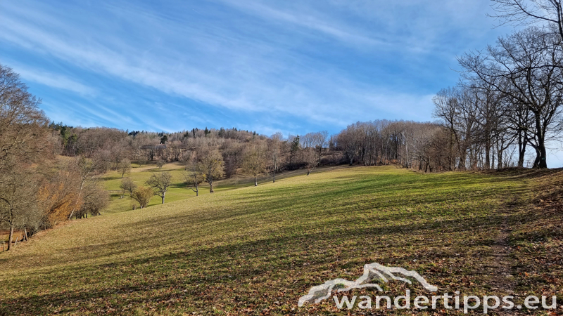 Steinwandleiten/Zehethofer Höhe Abbildung 4