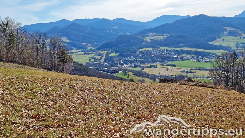 Steinwandleiten/Zehethofer Höhe Abbildung 6