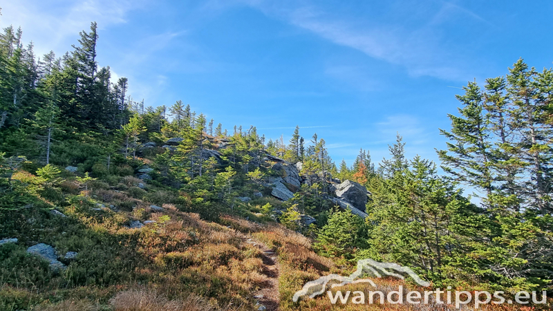 Hochwechsel vom Feistritzsattel Abbildung 11