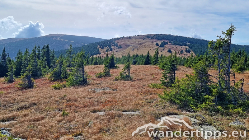 Hochwechsel vom Feistritzsattel Abbildung 14