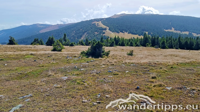 Hochwechsel vom Feistritzsattel Abbildung 17
