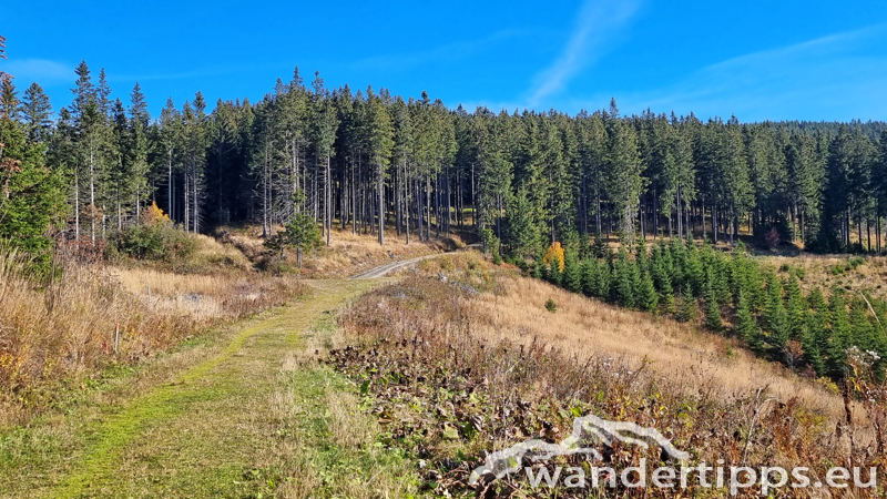 Hochwechsel vom Feistritzsattel Abbildung 3