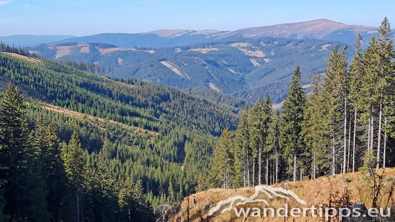Hochwechsel vom Feistritzsattel Abbildung 25