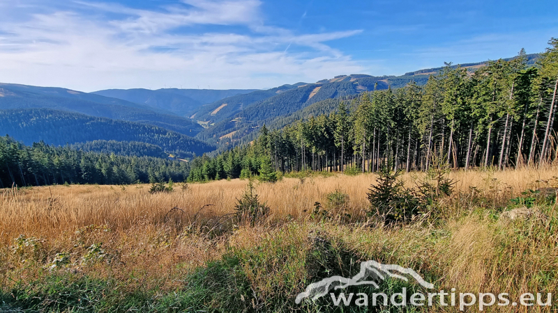 Hochwechsel vom Feistritzsattel Abbildung 5
