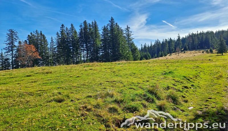 Hochwechsel vom Feistritzsattel Abbildung 7