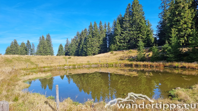 Hochwechsel vom Feistritzsattel Abbildung 8
