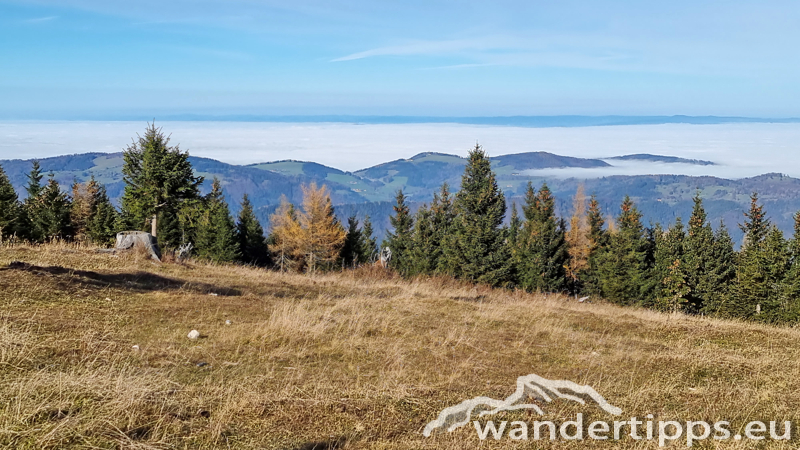 Rainstock Abbildung 14