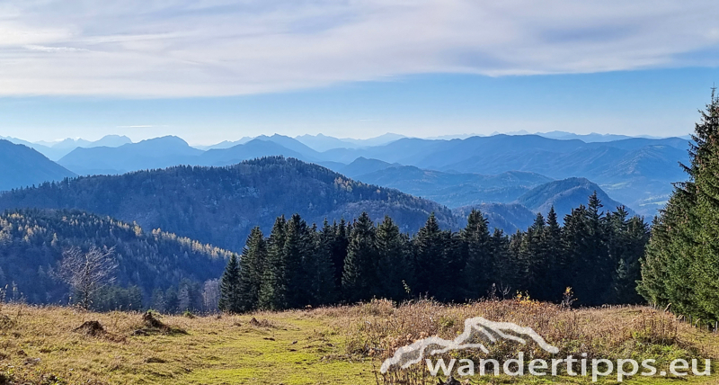 Rainstock Abbildung 15