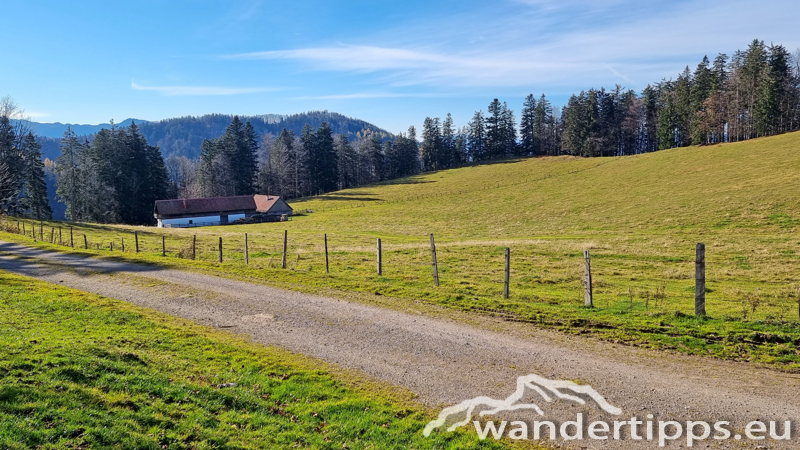 Rainstock Abbildung 17