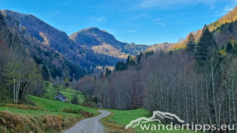 Rainstock Abbildung 18