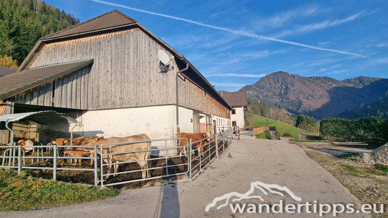 Rainstock Abbildung 20