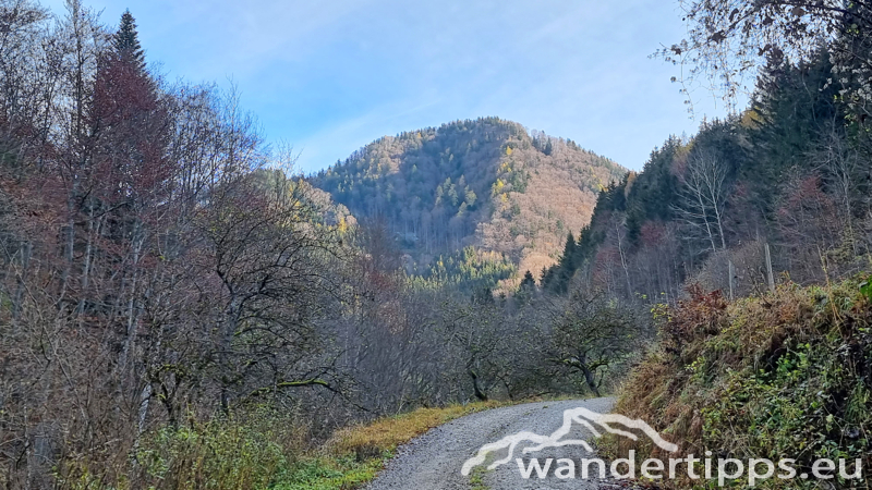 Rainstock Abbildung 4