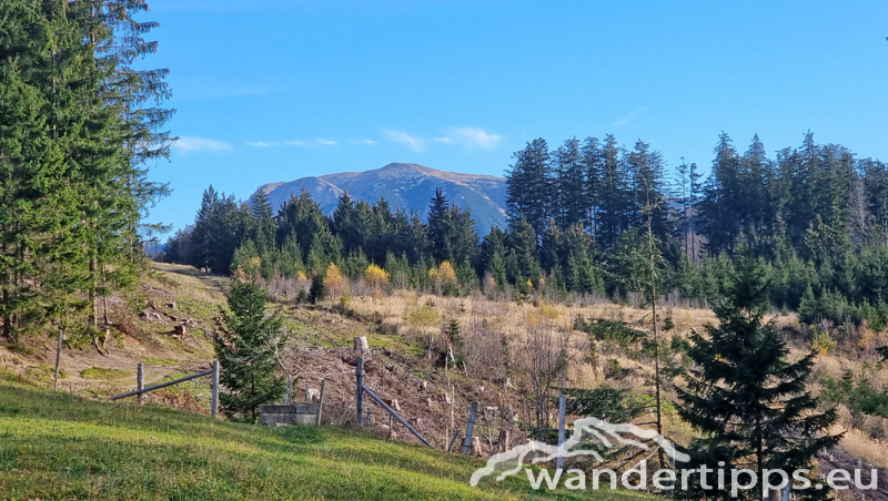 Rainstock Abbildung 7