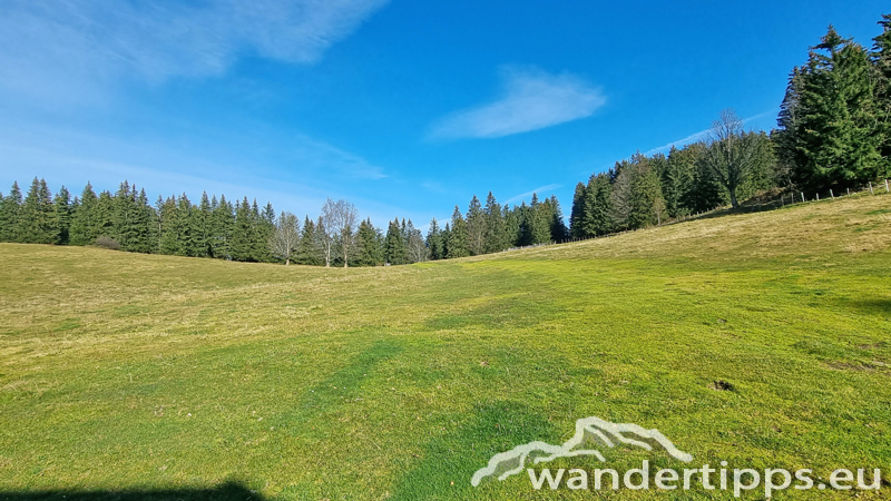 Rainstock Abbildung 8