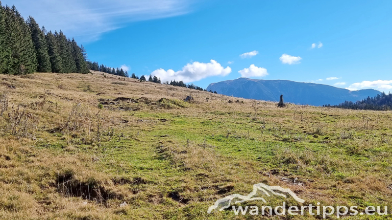 Rainstock Abbildung 9