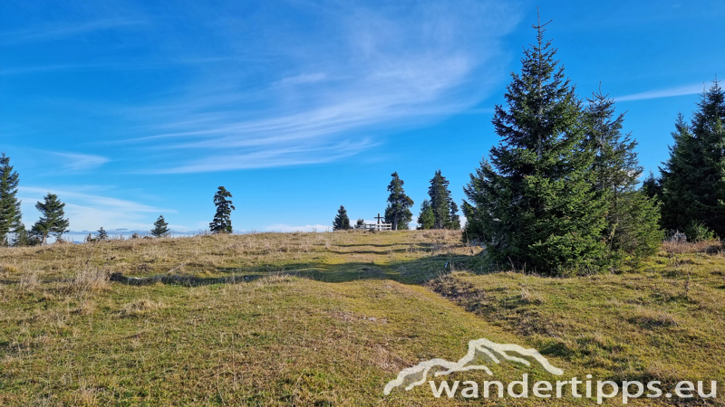 Rainstock Abbildung 10