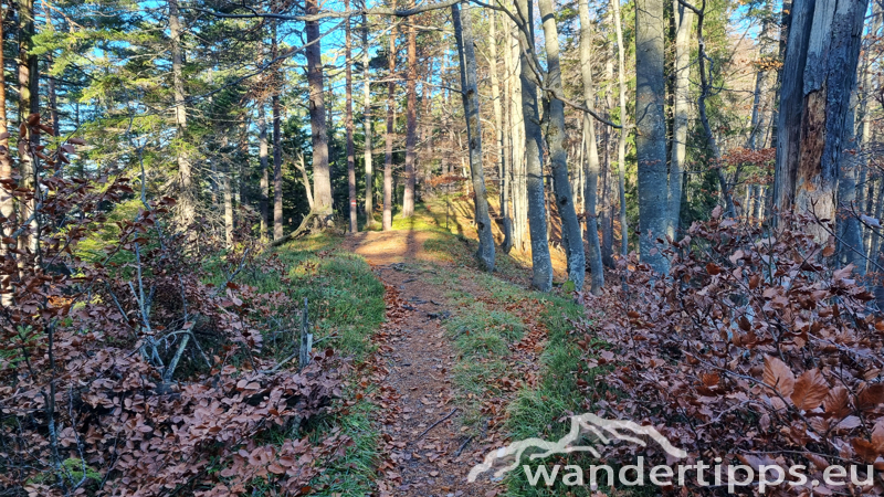 Göller von Nordwesten/Gscheid Abbildung 3