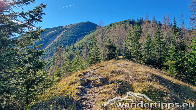 Göller von Nordwesten/Gscheid Abbildung 6
