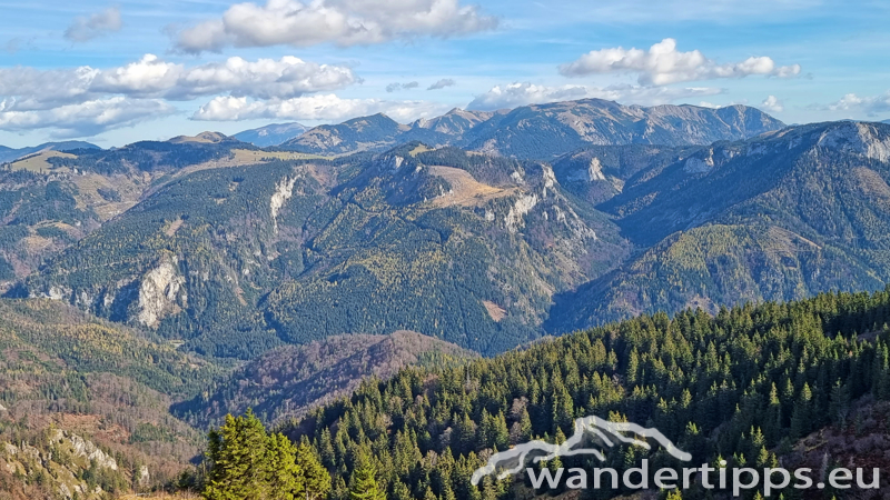 Kleiner Königskogel Abbildung 15