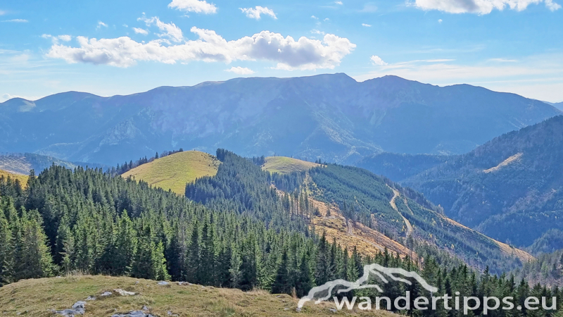 Kleiner Königskogel Abbildung 17