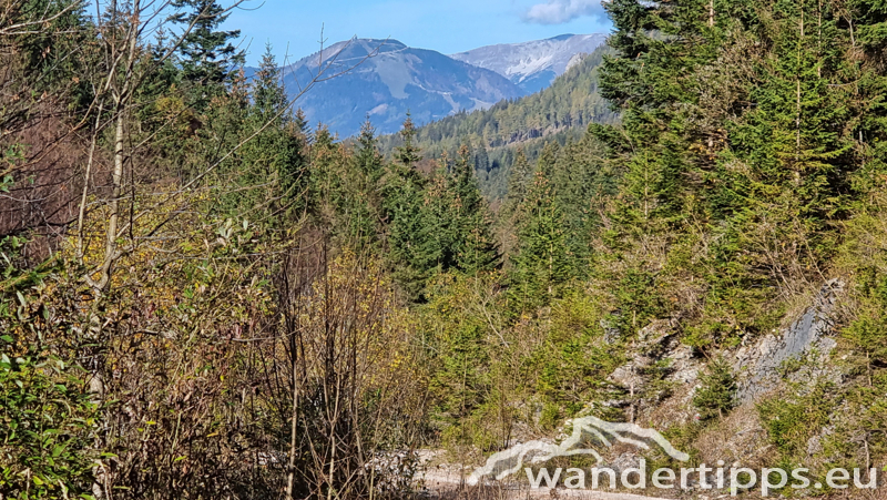 Kleiner Königskogel Abbildung 22