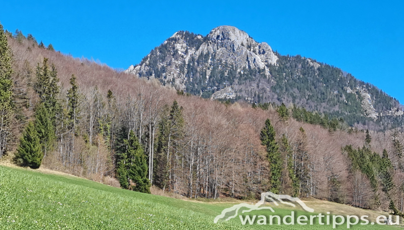 Feldberg Abbildung 19