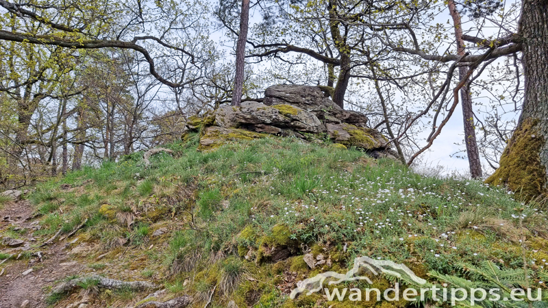 Dürnsteiner Schlossberg/Vogelberg-Kanzel Abbildung 11