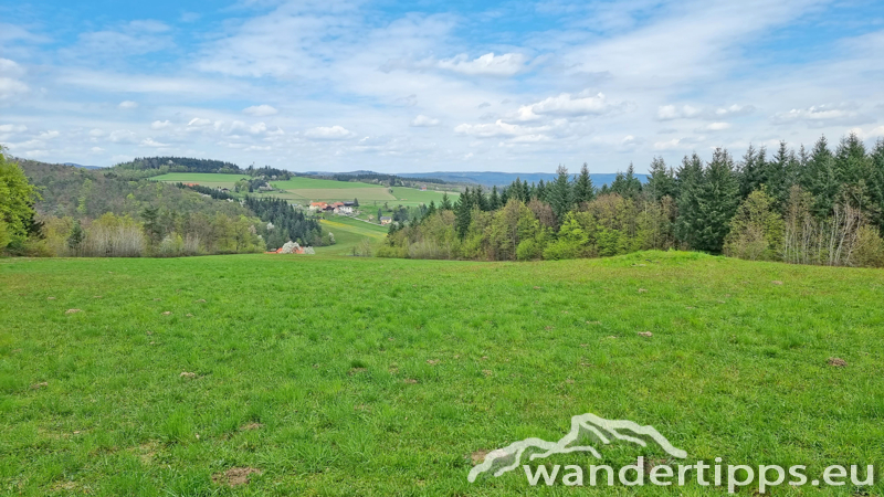 Dürnsteiner Schlossberg/Vogelberg-Kanzel Abbildung 15