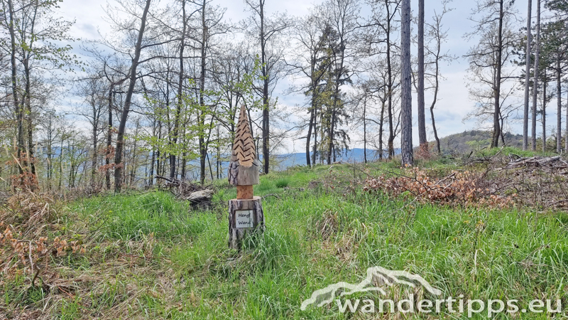 Dürnsteiner Schlossberg/Vogelberg-Kanzel Abbildung 16
