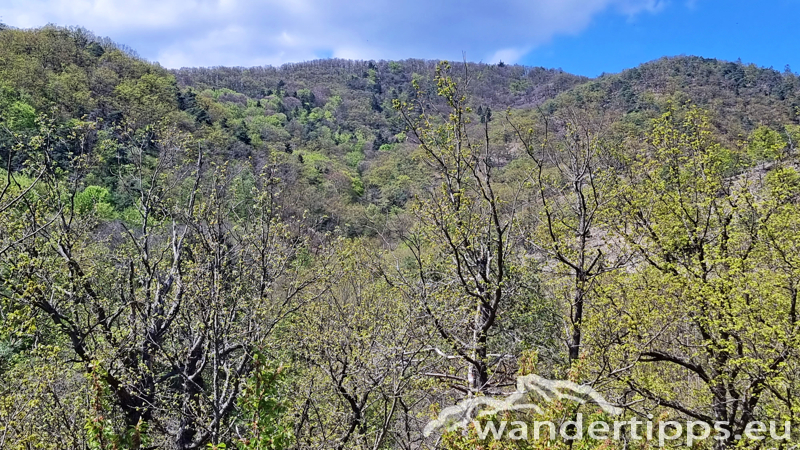 Dürnsteiner Schlossberg/Vogelberg-Kanzel Abbildung 17