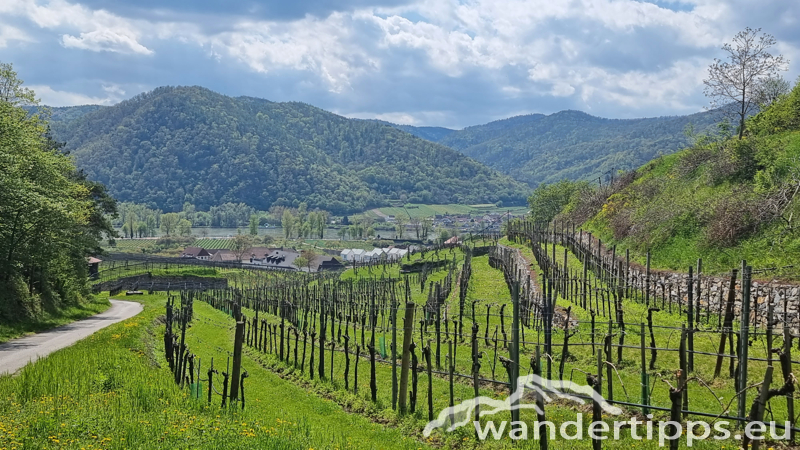 Dürnsteiner Schlossberg/Vogelberg-Kanzel Abbildung 19