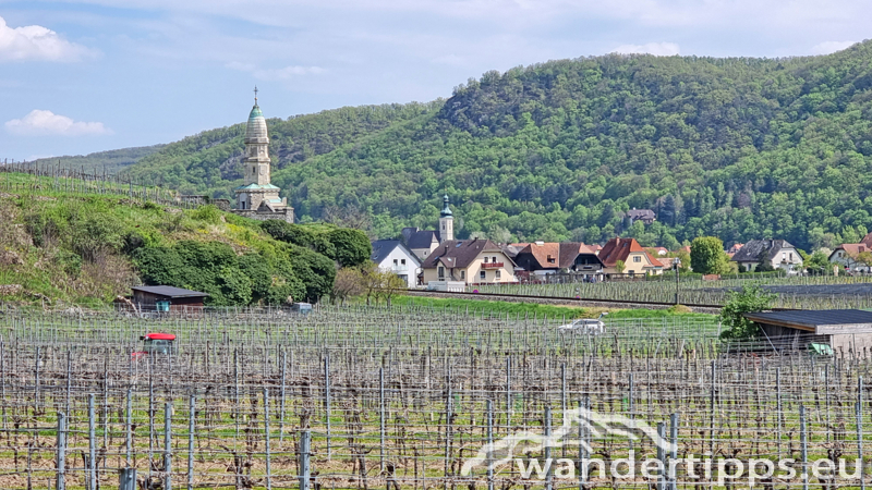 Dürnsteiner Schlossberg/Vogelberg-Kanzel Abbildung 20