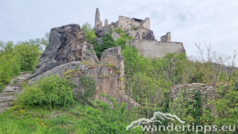 Dürnsteiner Schlossberg/Vogelberg-Kanzel Abbildung 3