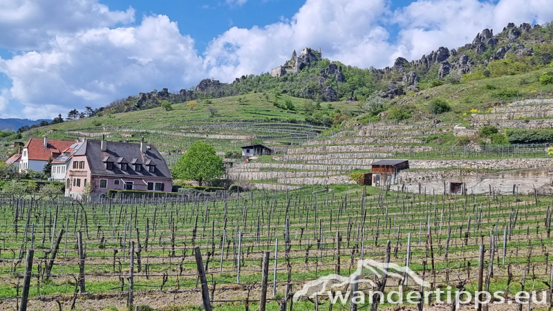 Dürnsteiner Schlossberg/Vogelberg-Kanzel Abbildung 21