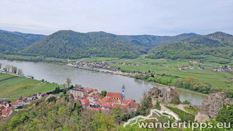 Dürnsteiner Schlossberg/Vogelberg-Kanzel Abbildung 5