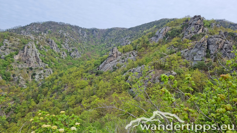 Dürnsteiner Schlossberg/Vogelberg-Kanzel Abbildung 6