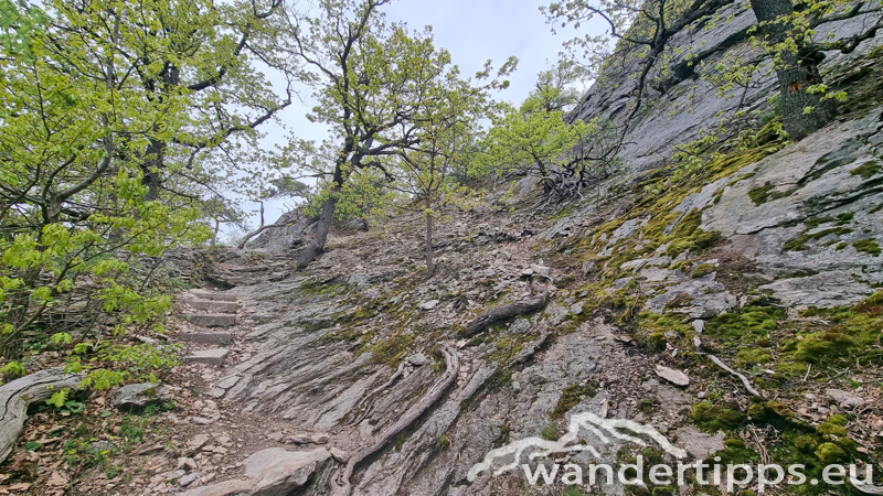 Dürnsteiner Schlossberg/Vogelberg-Kanzel Abbildung 7