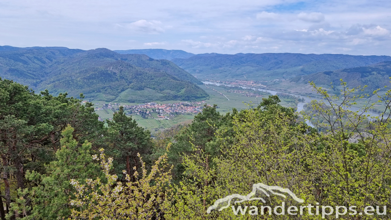 Dürnsteiner Schlossberg/Vogelberg-Kanzel Abbildung 9