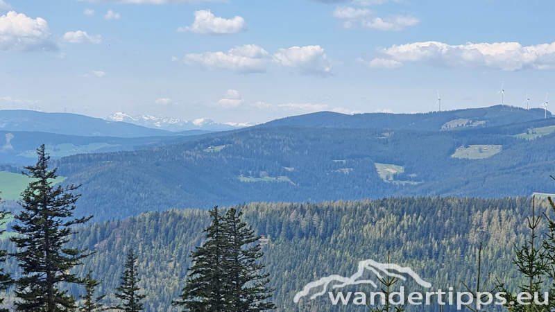 Lorenzkogel/Glatzl Trahütten Alm Abbildung 11