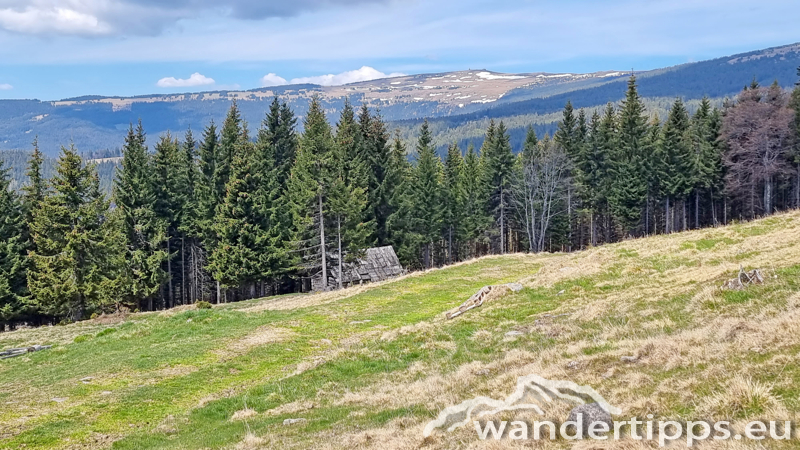 Lorenzkogel/Glatzl Trahütten Alm Abbildung 13