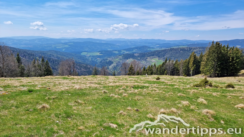 Lorenzkogel/Glatzl Trahütten Alm Abbildung 14