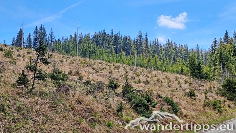 Lorenzkogel/Glatzl Trahütten Alm Abbildung 15